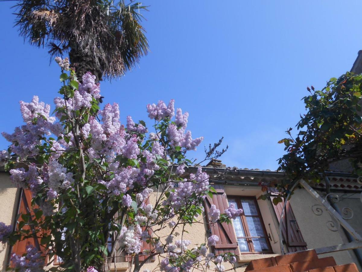 Maison Palmeral Coustaussa المظهر الخارجي الصورة